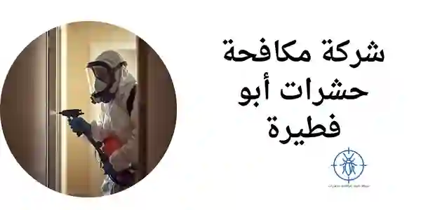 شركة مكافحة حشرات أبو فطيرة| 66649147 | شركة طيبة