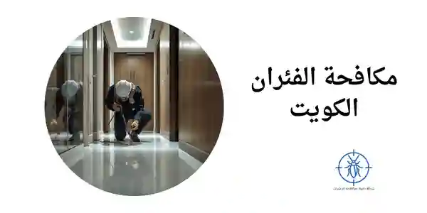 مكافحة الفئران الكويت