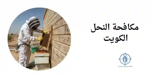 مكافحة النحل الكويت