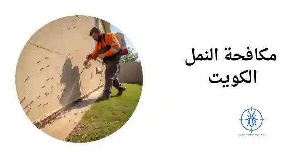 مكافحة النمل الكويت