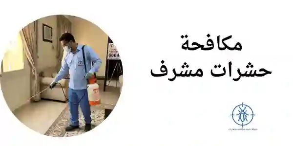 مكافحة حشرات مشرف| 66649147 | شركة طيبة